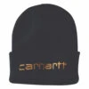 'Carhartt' Men's Insulated Cuffed Beanie - Black -Outdoor Clothing Store 104068 001 MF19 1024x1024@2x