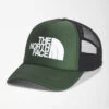 'The North Face' Men's Logo Trucker Hat - Thyme -Outdoor Clothing Store NF0A3FM3 NYC hero 1024x1024@2x